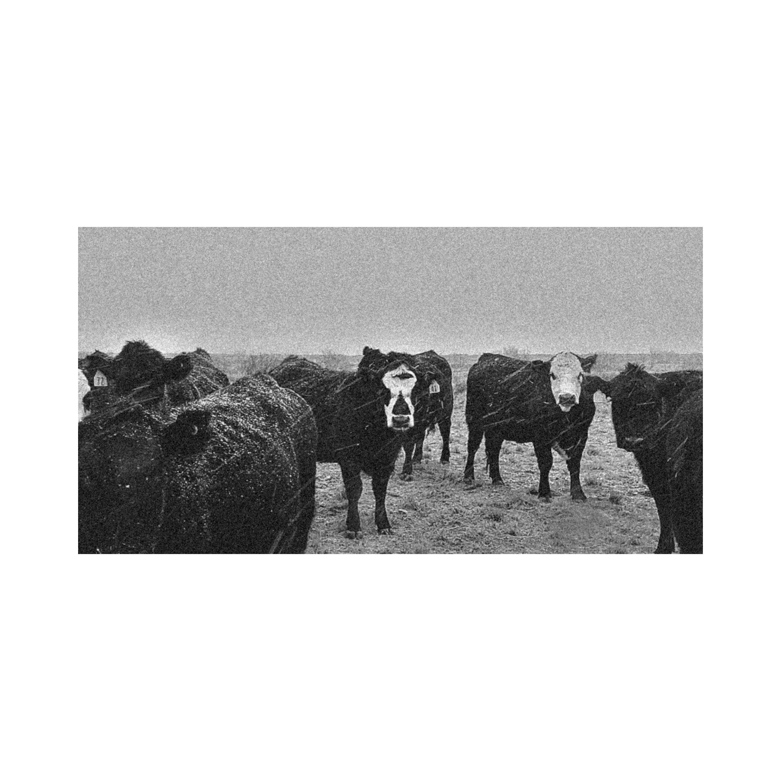 IMG_3258.jpeg