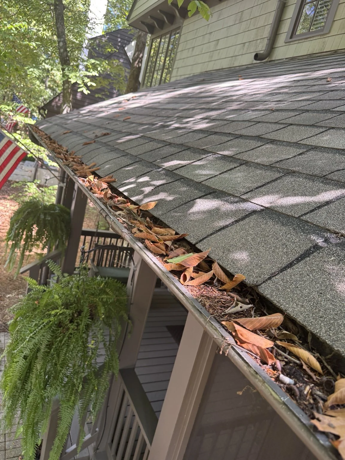 Don’t overlook your gutters. Leaves and debris can obstruct drainage and are worth checking during a roof inspection.
