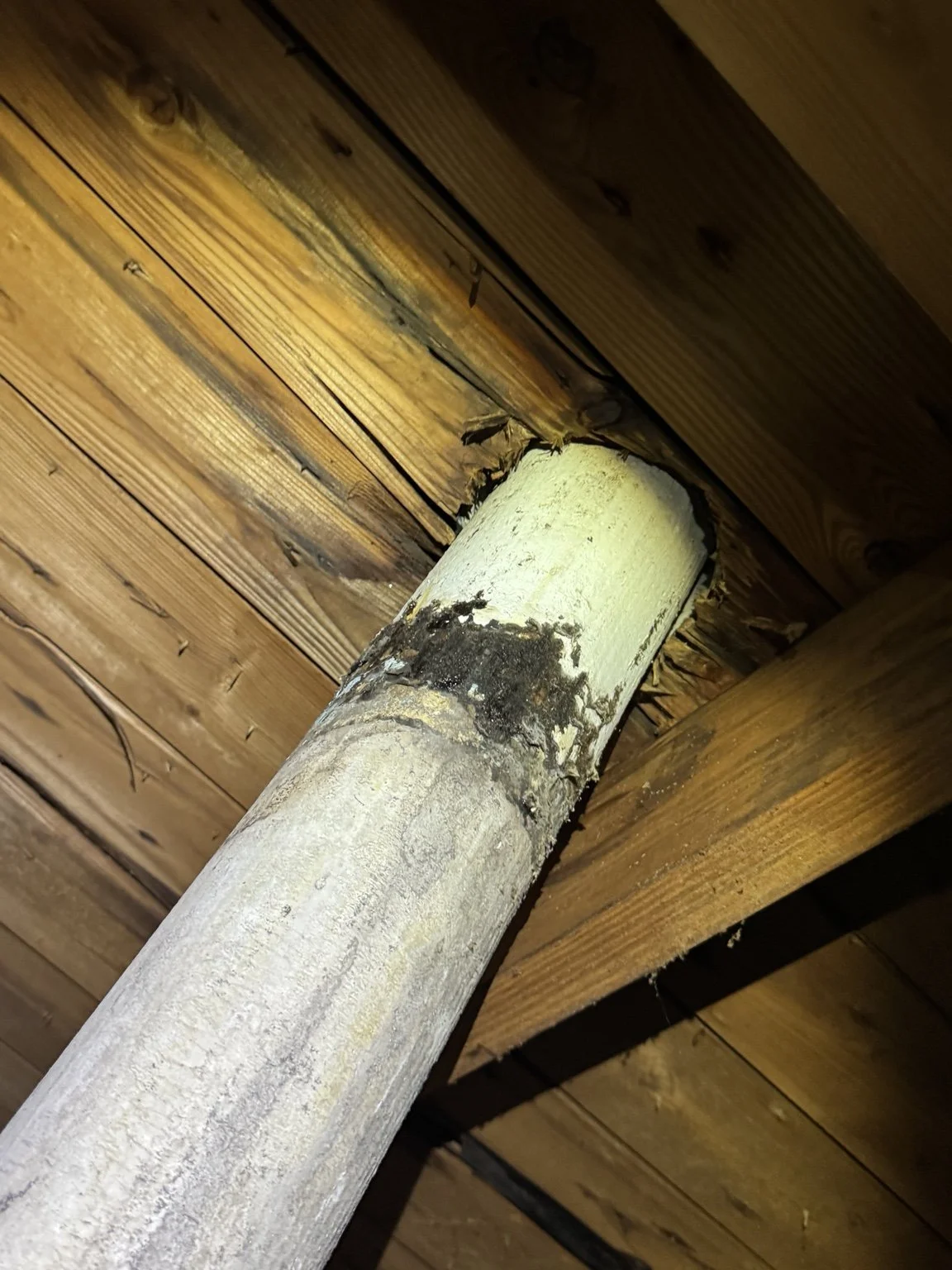 Your attic can tell a story. Visible staining around roof penetrations deserves a closer look.