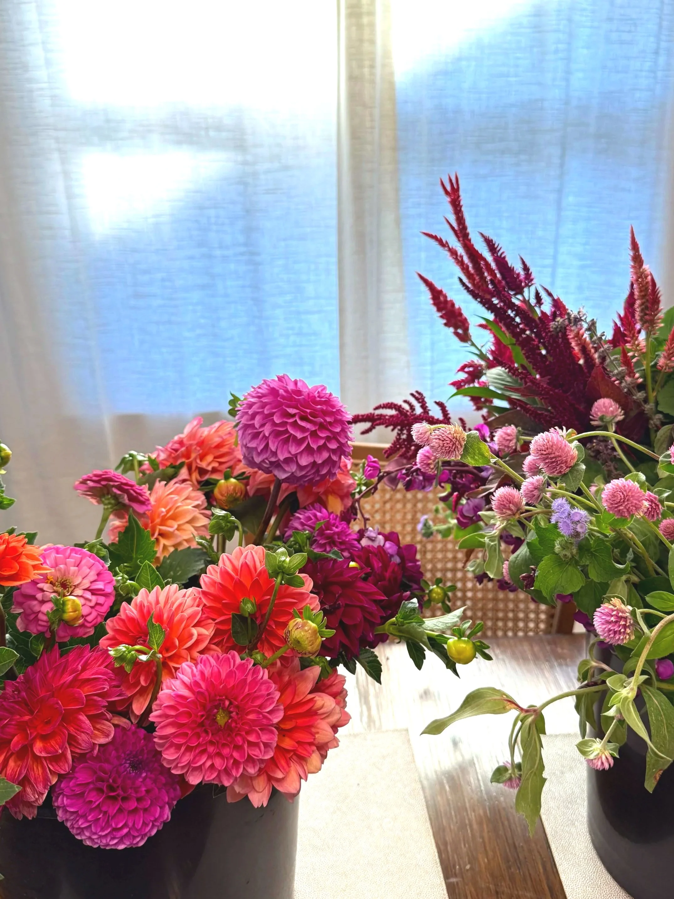 Close-up of colorful flowers in black pots on a wooden table with light-colored curtains in the background.