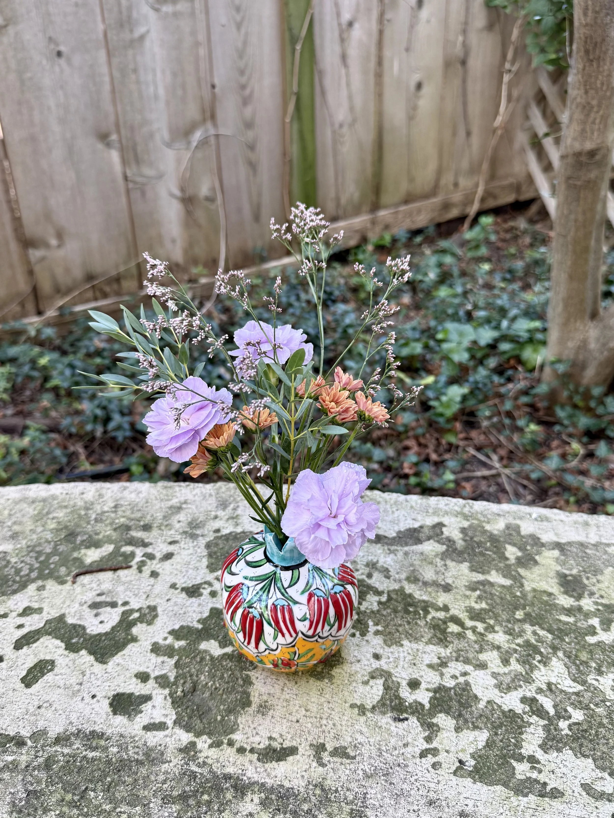 micro mallow- many