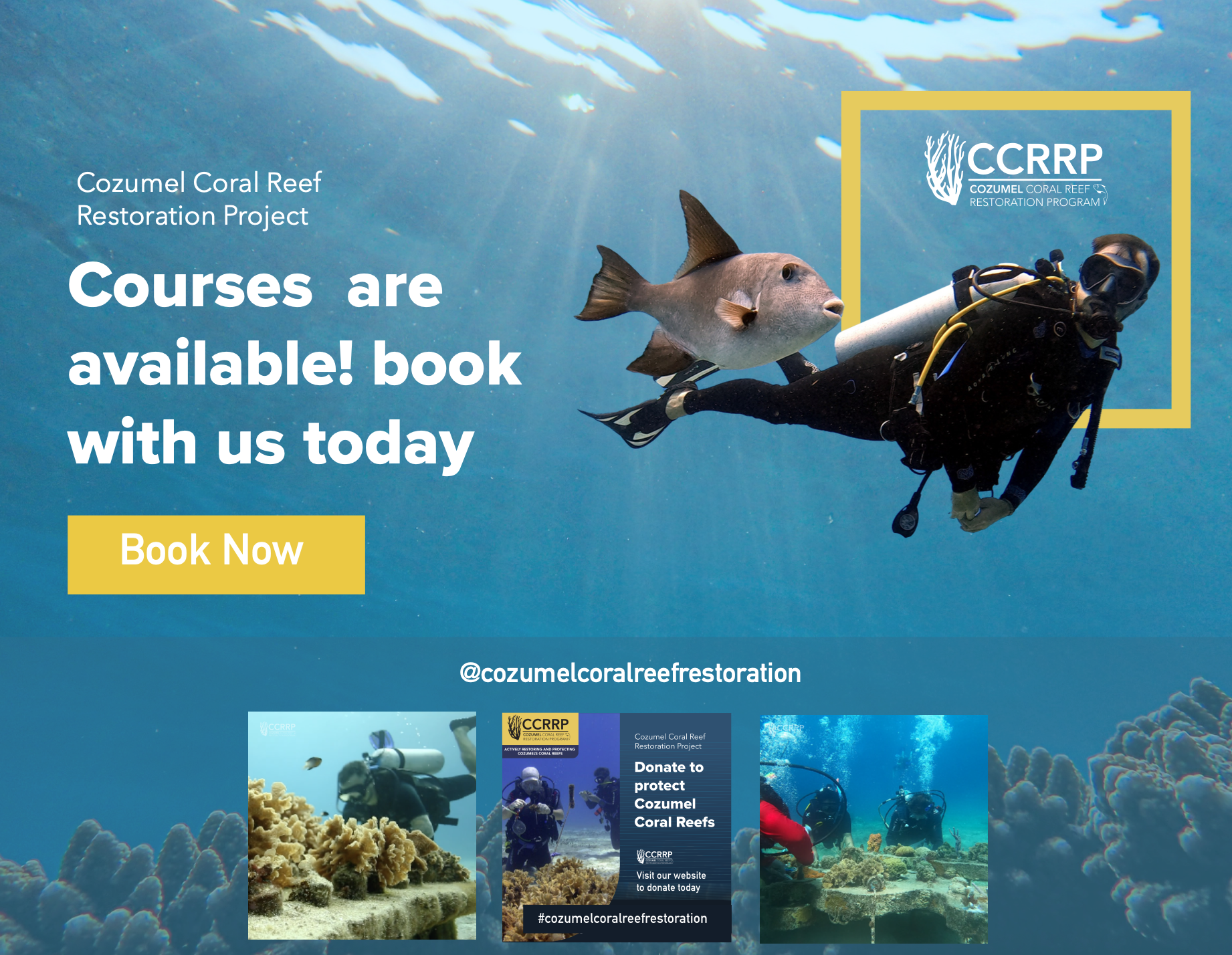 Cozumel Coral Reef Restoration Program