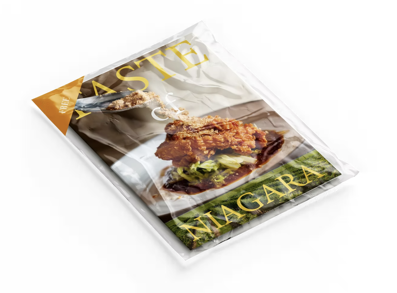 Taste of Niaragra Magazine Cover 2.png