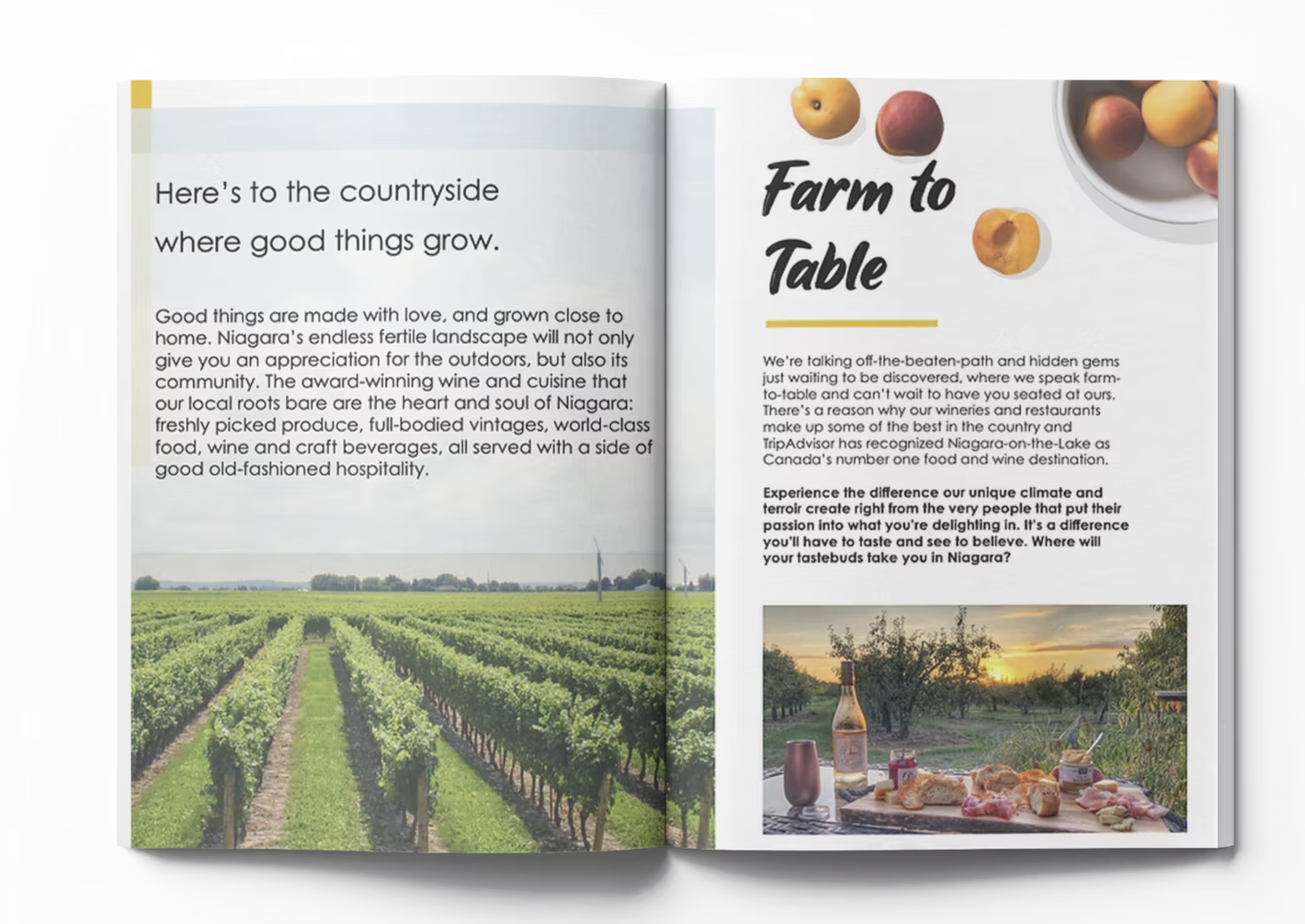 Taste of Niaragra Magazine Spread 3.png