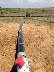 transfer-section1-img3.jpg