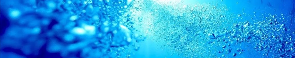 header-splash.jpg