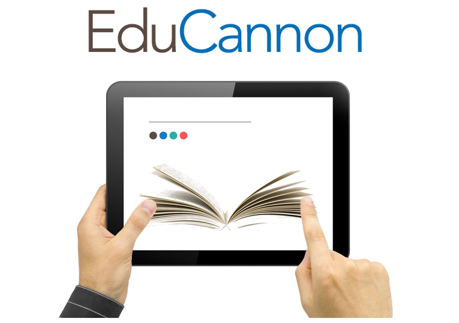 EduCannon Consulting