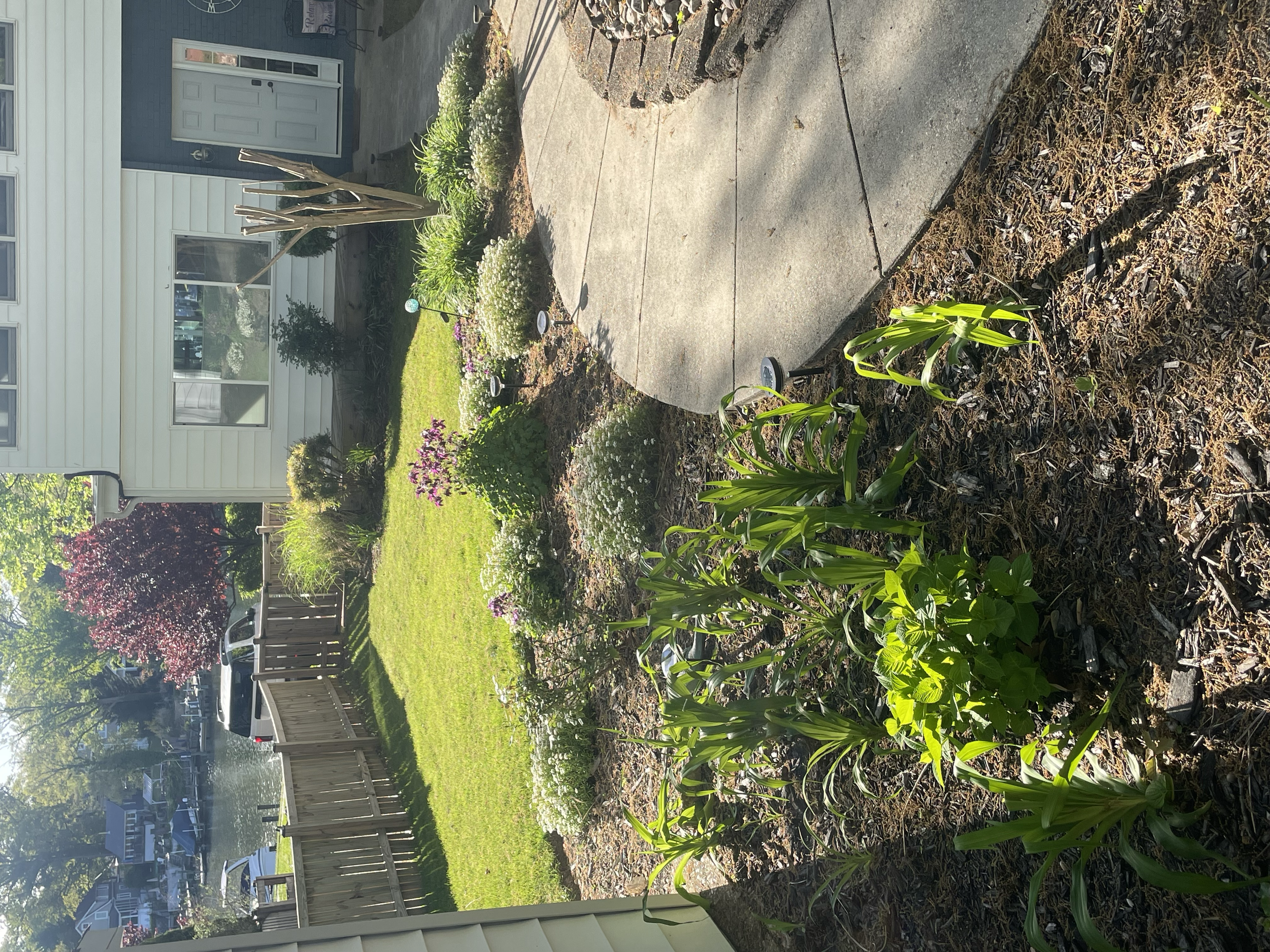 A residential backyard garden with a curved concrete pathway, various plants including a small flowering bush, a leafless tree, and small bushes, a wooden fence, and a view of a pond or river with boats and houses in the background on a sunny day.