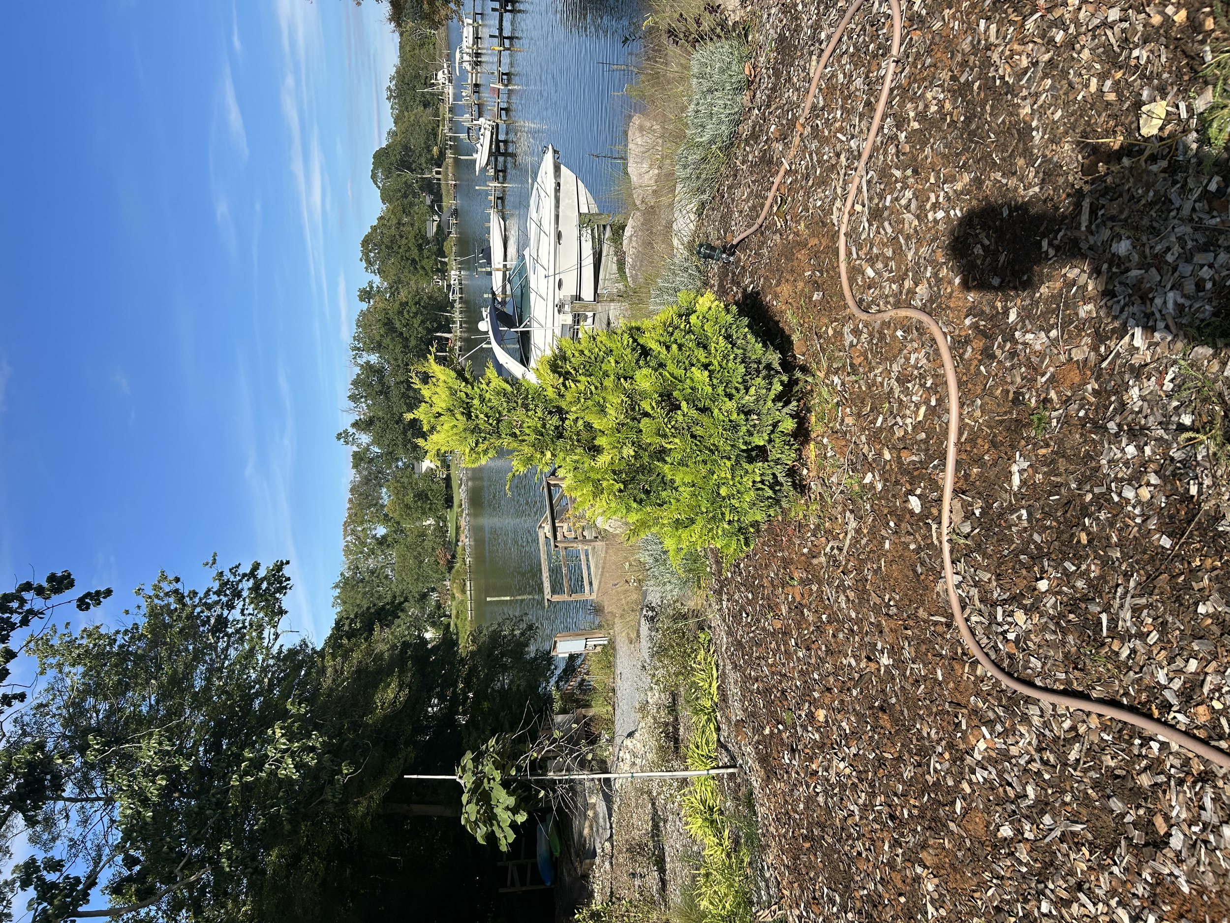 View of a backyard with a small pond, boats docked along the water, lush green trees, and a bright blue sky, with a garden area and a garden hose in the foreground.