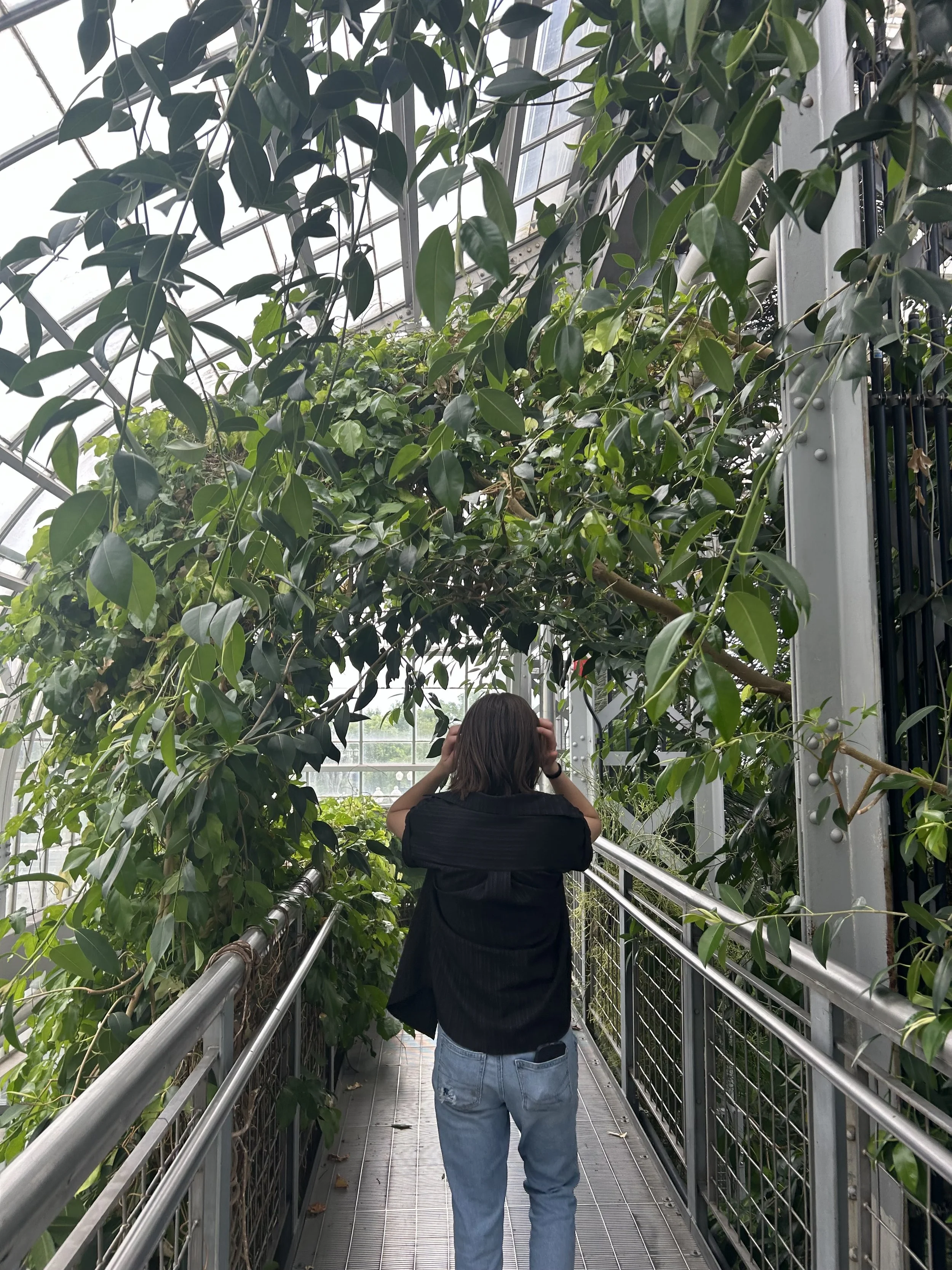 A woman with brown hair wearing a black shirt and light blue jeans stands on a walkway in a greenhouse or botanical garden, surrounded by tall leafy green plants and metal railings, with a glass ceiling overhead.