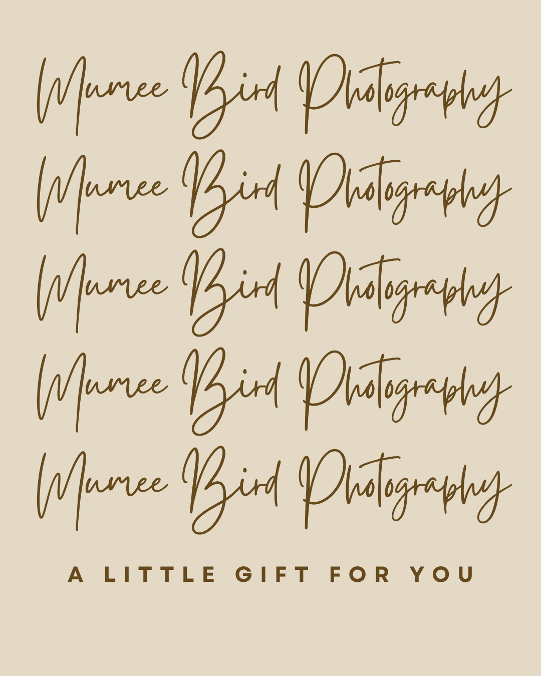 Mumee Bird Photography Gift Card