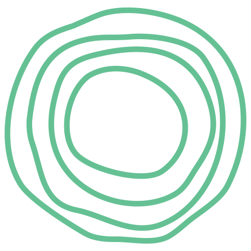 A black background with light green concentric irregular round lines forming a spiral shape.
