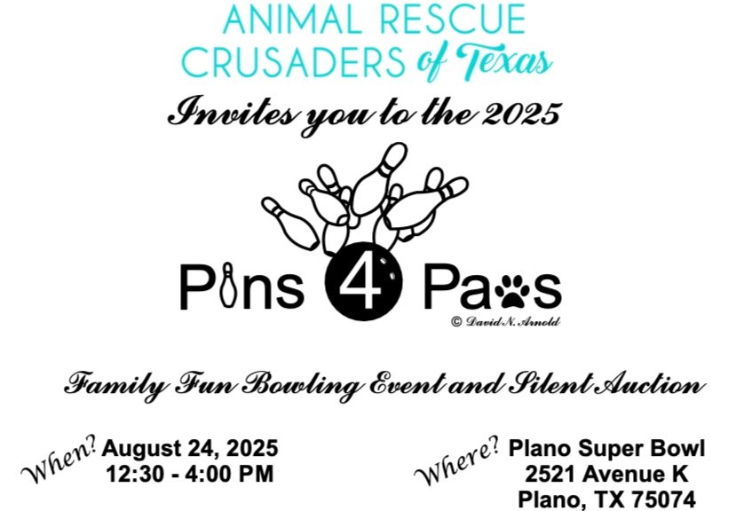 Pins 4 Paws