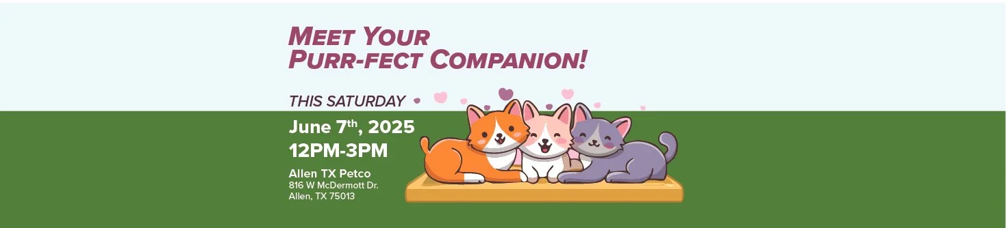 June Adoption Event