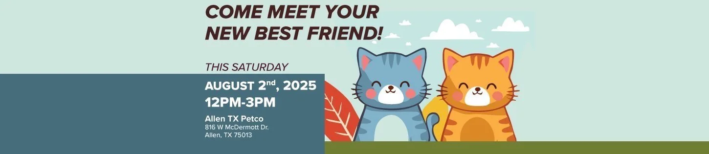 August Adoption Event