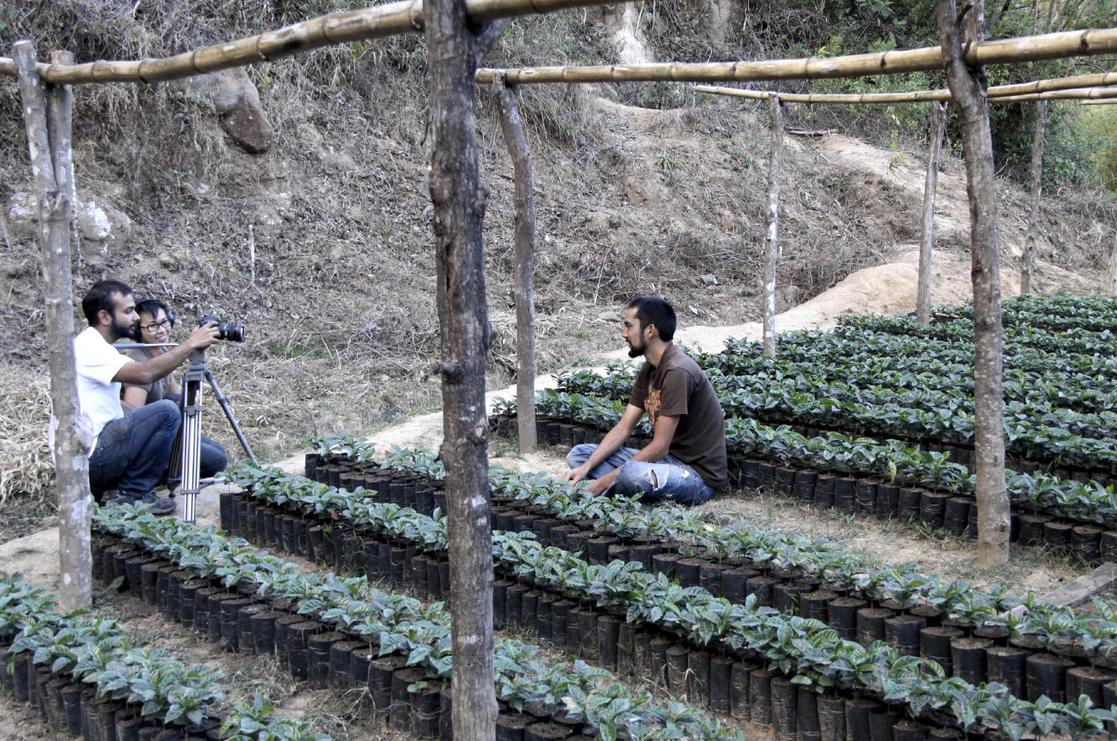 caffeinated-bts.webp