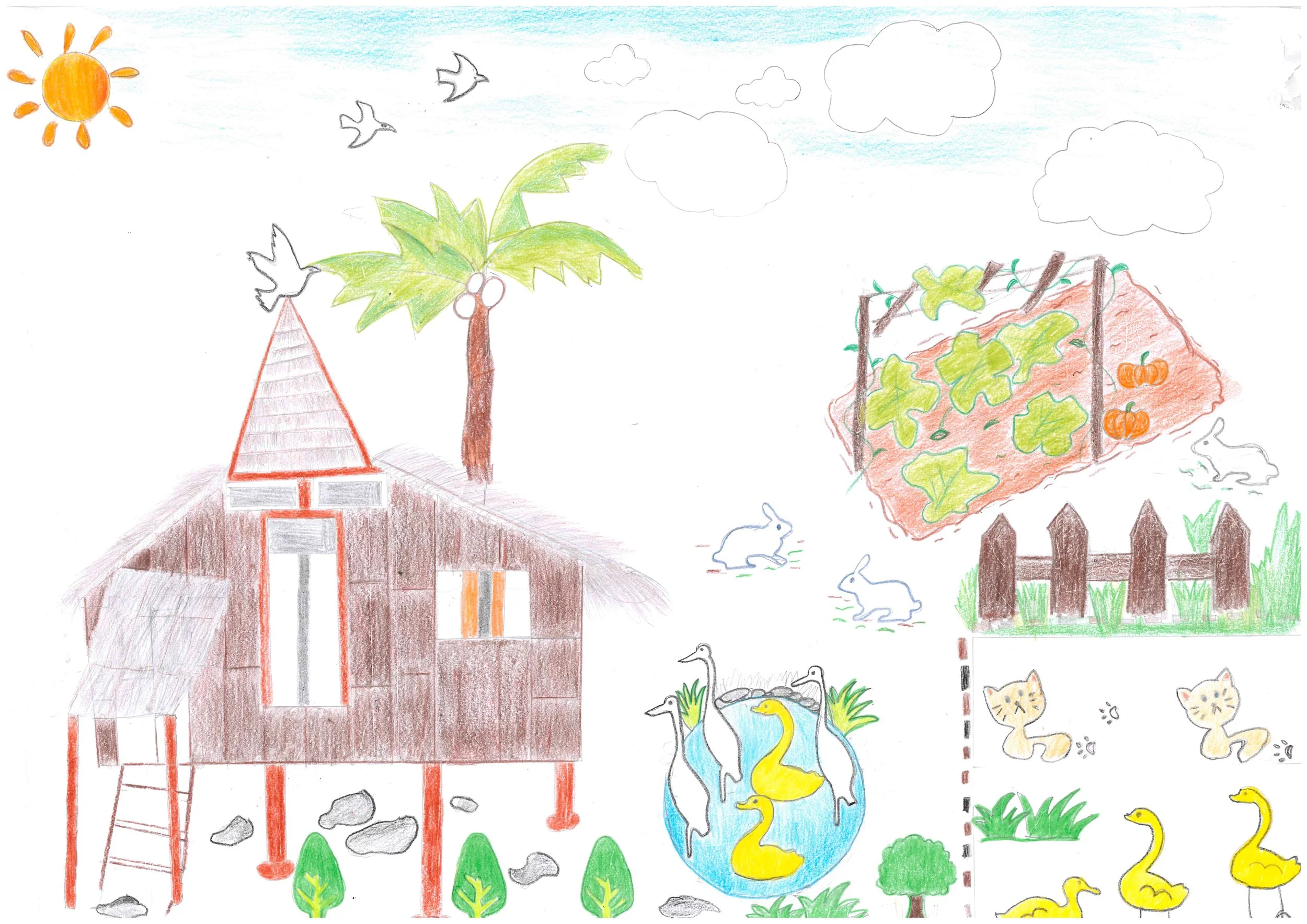 KAMPONG FARM_HEIDI_KOVESS_4F.jpg