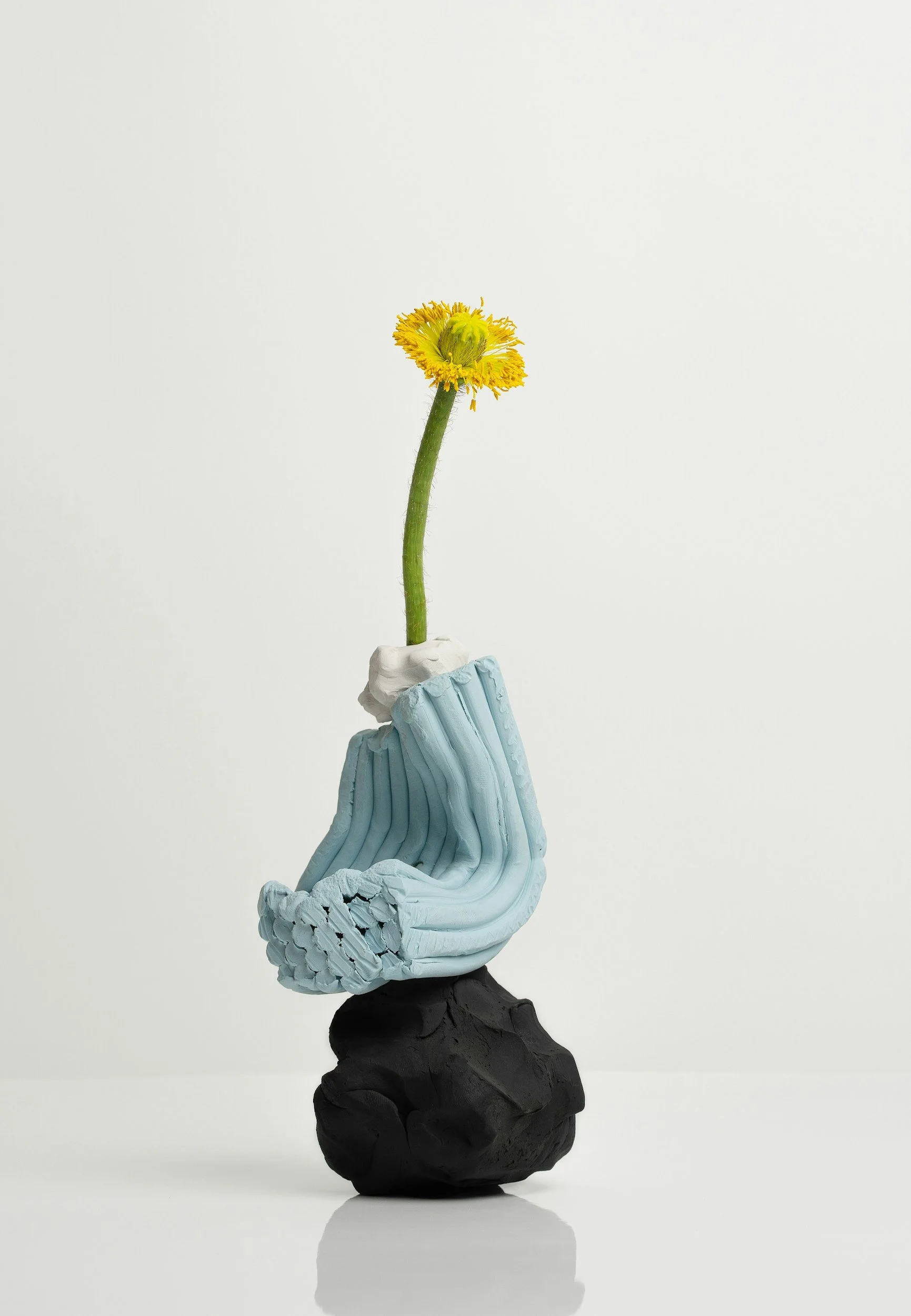 A yellow flower with green stem held by a hand in a light blue glove, with a black and white rocky base and a plain white background.