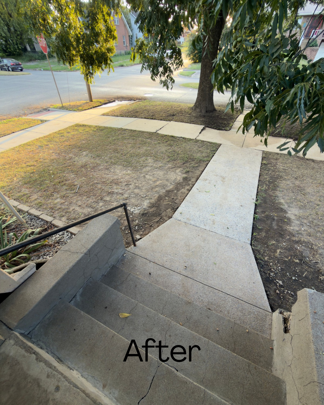 A sidewalk with freshly poured concrete, labeled 'After', with a small set of stairs leading down to the yard, and a tree on the lawn in a neighborhood street.