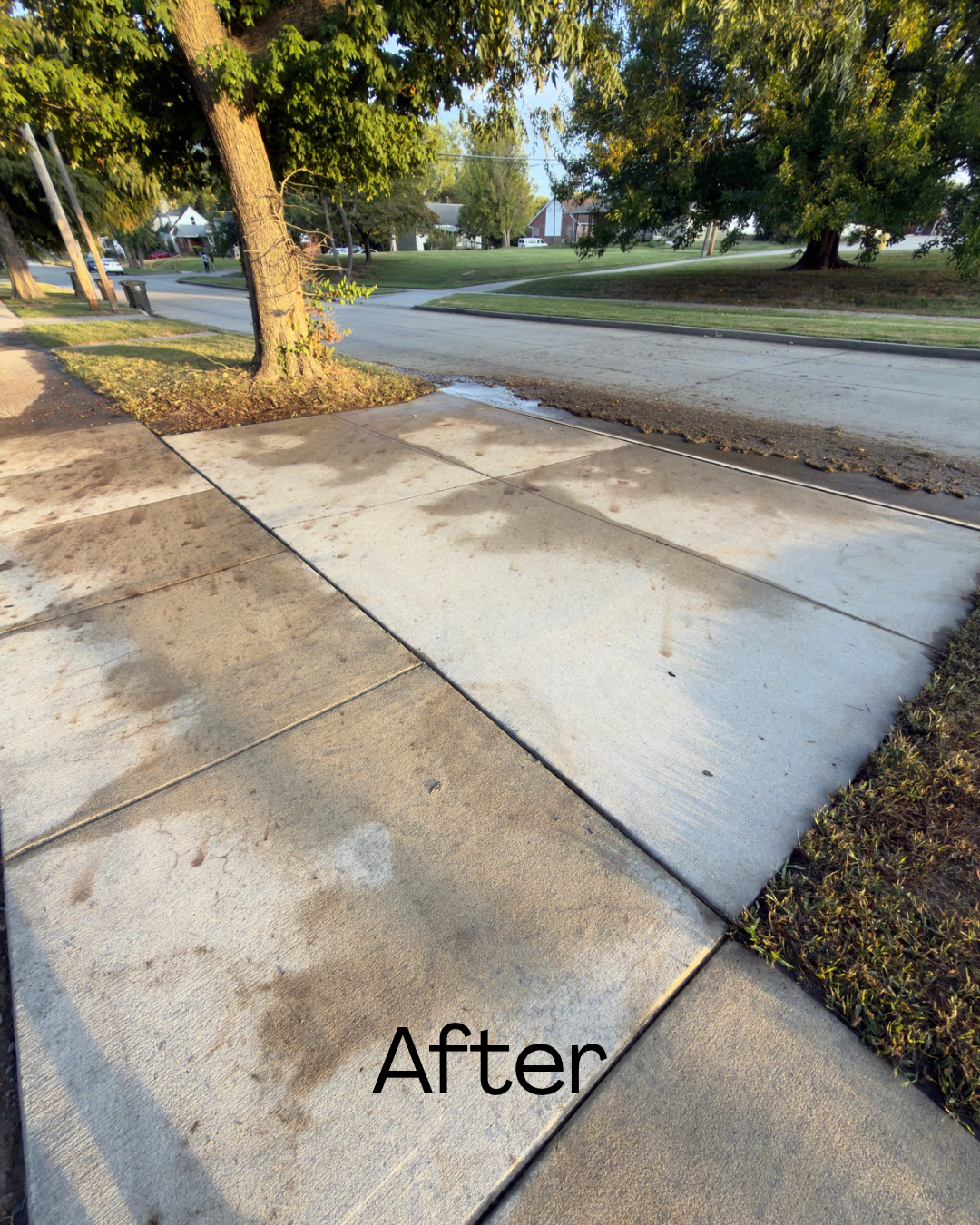 Cleaned and freshly sealed concrete sidewalk with the word 'After' written on it, in a residential neighborhood with trees, grass, and a street in the background.