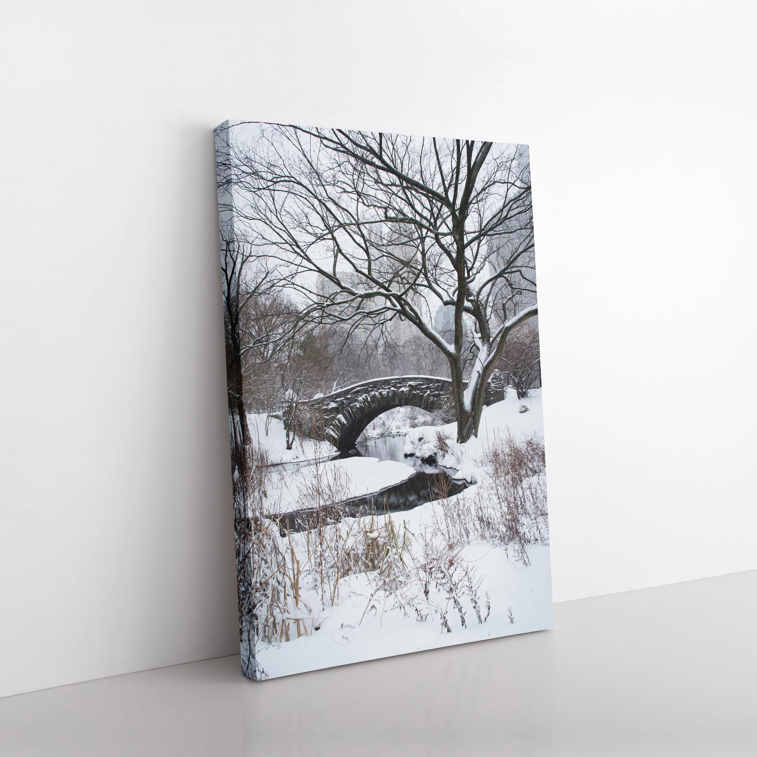 NY - Gapstow Snow Clean Vert Canvas.jpg
