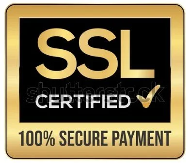 SSL certified badge promising 100% secure payment for his eBooks and services.