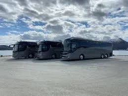Buss.webp