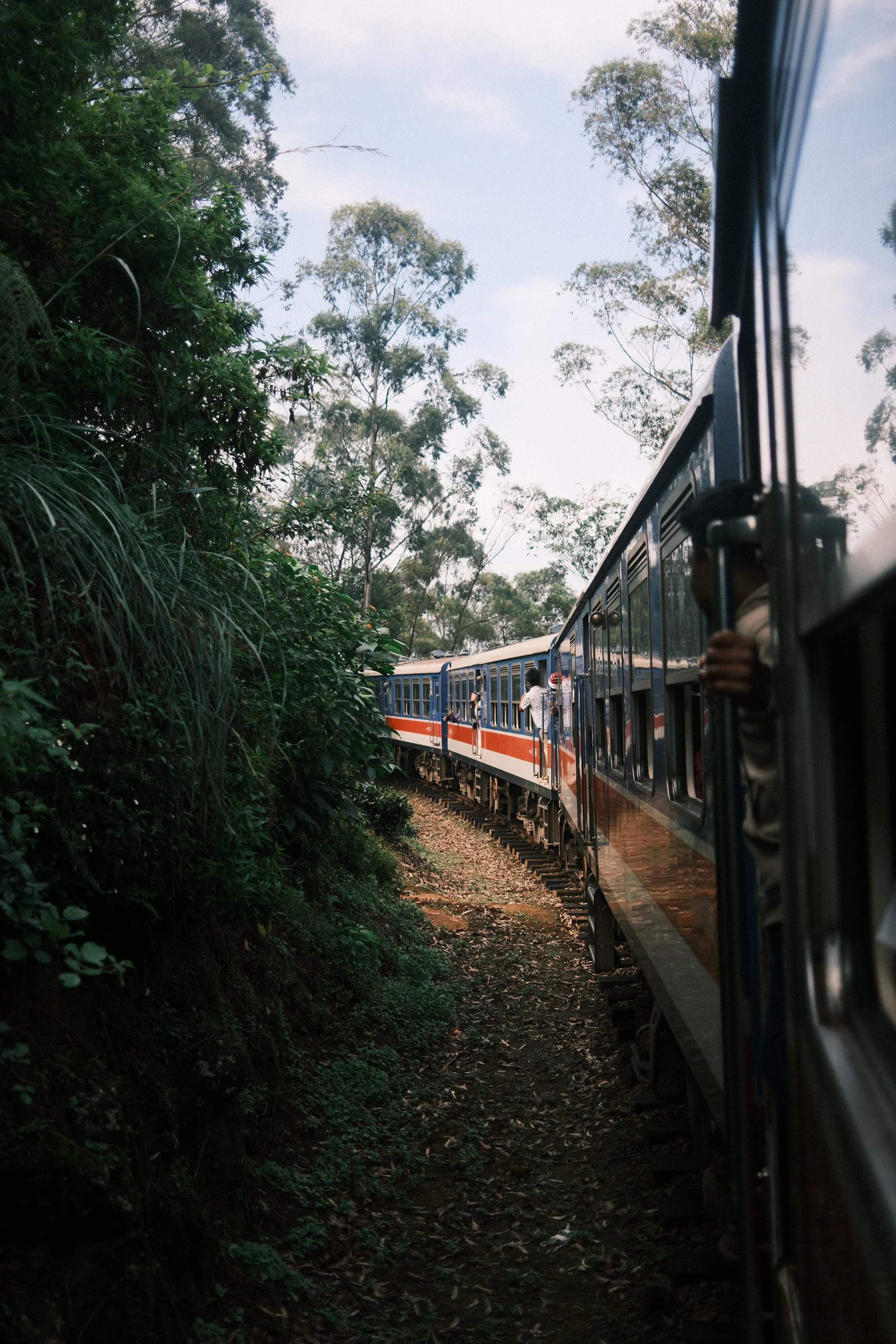DSCF7419 2.jpg