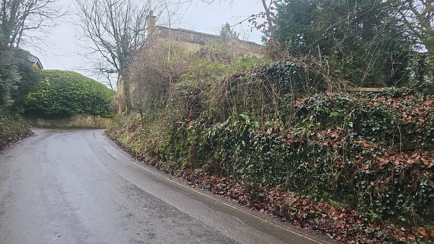 Boundary Drystone Wall Before