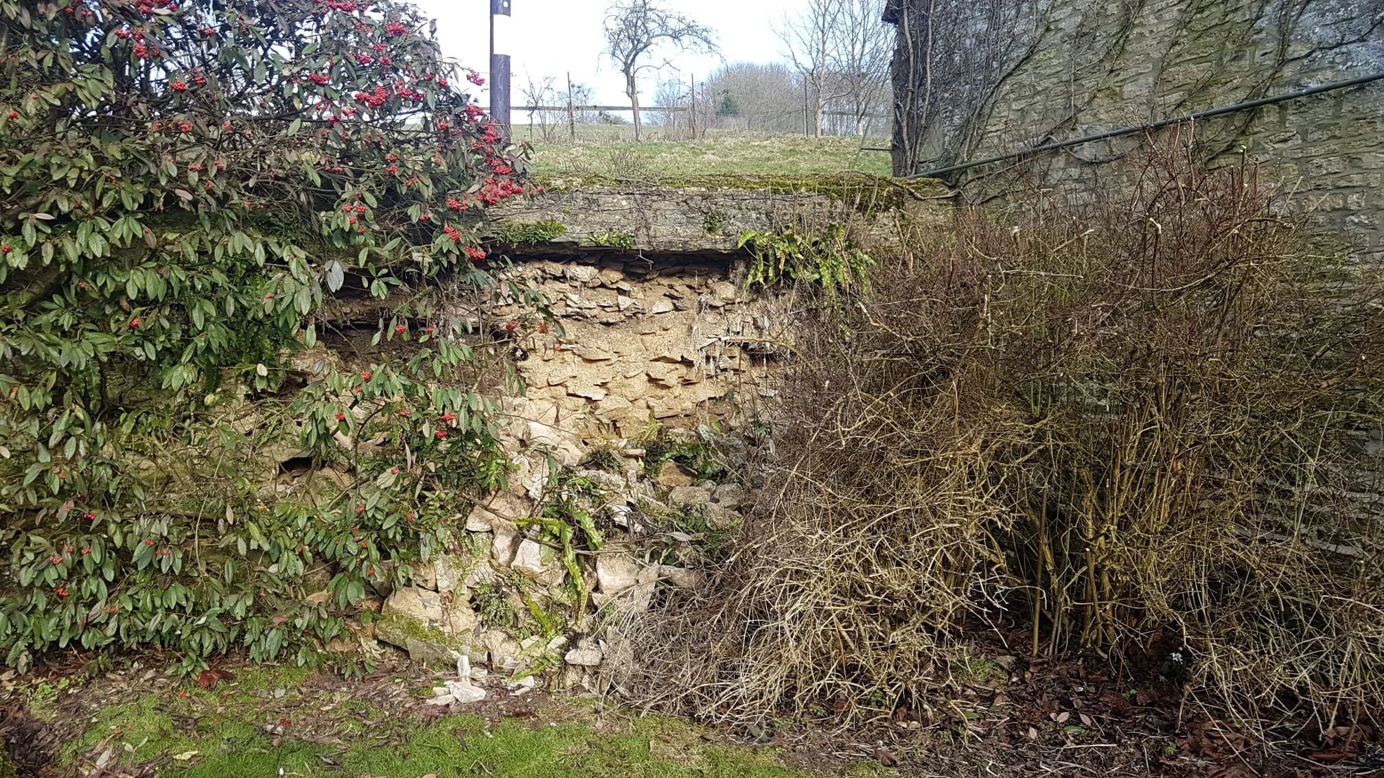 Lime Mortared Wall – Before