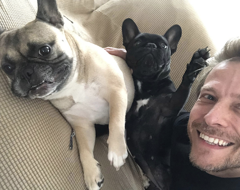 De twee Franse buldoggen van Lennart Knab die thuis lekker aan het relaxen zijn