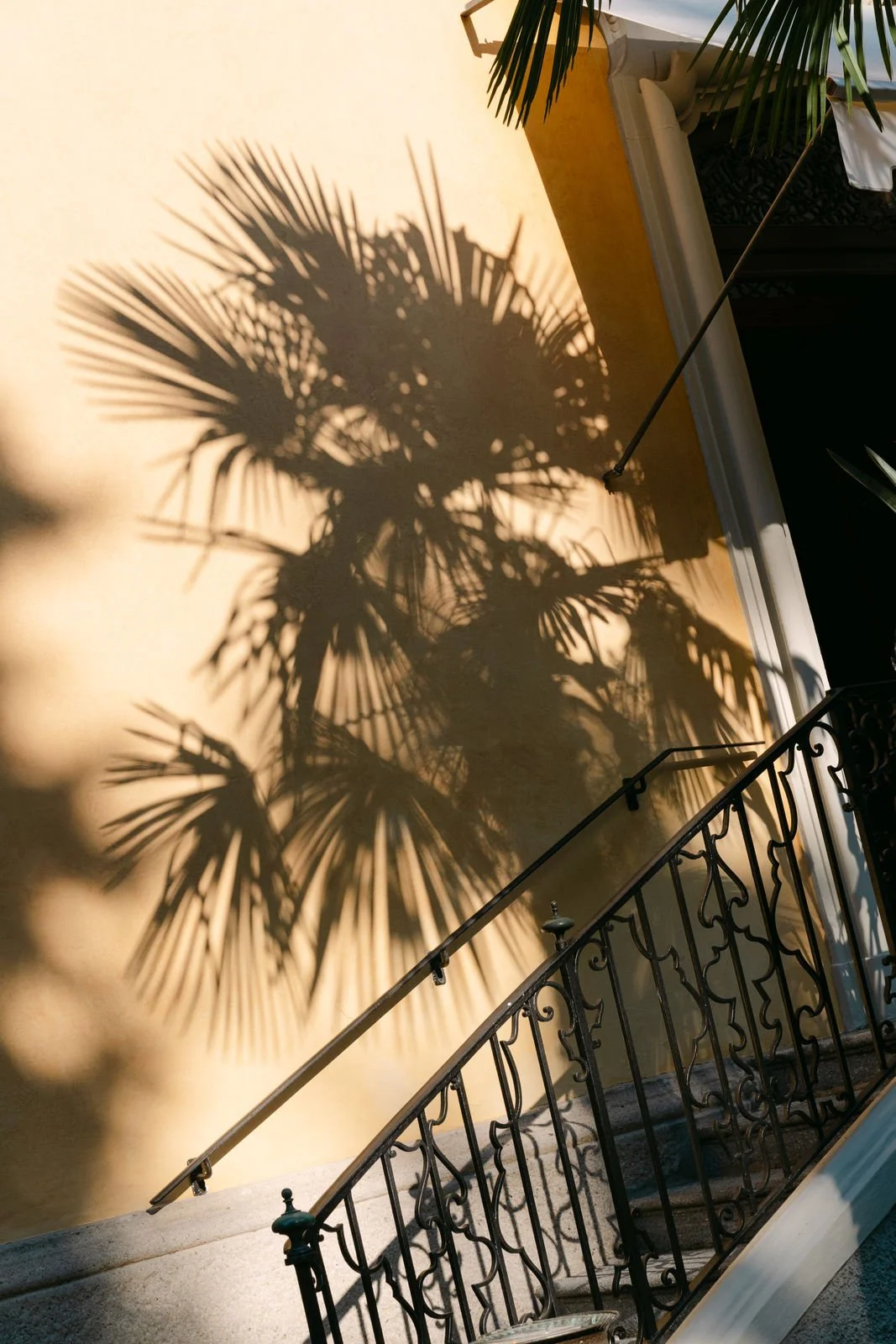 Schatten einer Palmenblätter an einer gelben Wand neben einer Treppe mit schwarzen Geländer.