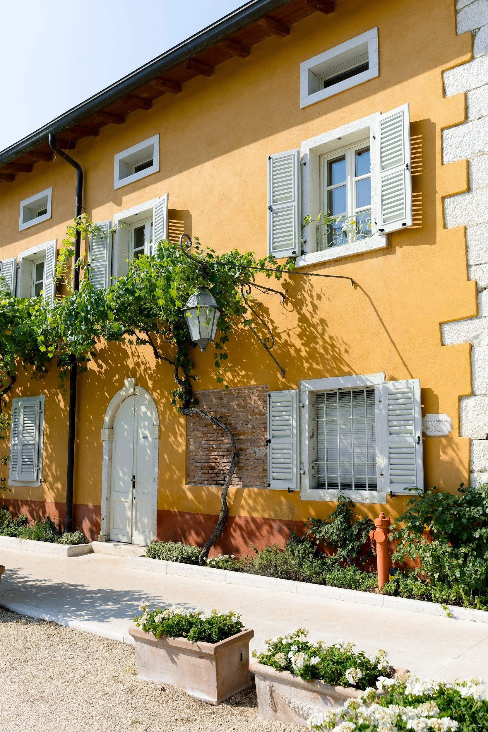 Häuserfassade mit gelber Wand, weißen Fenstern mit Shutters, einem kleinen Fenster oben, und einer blühenden Kletterpflanze. Draußen sind Blumentöpfe mit weißen Blumen auf einem Kiesweg.