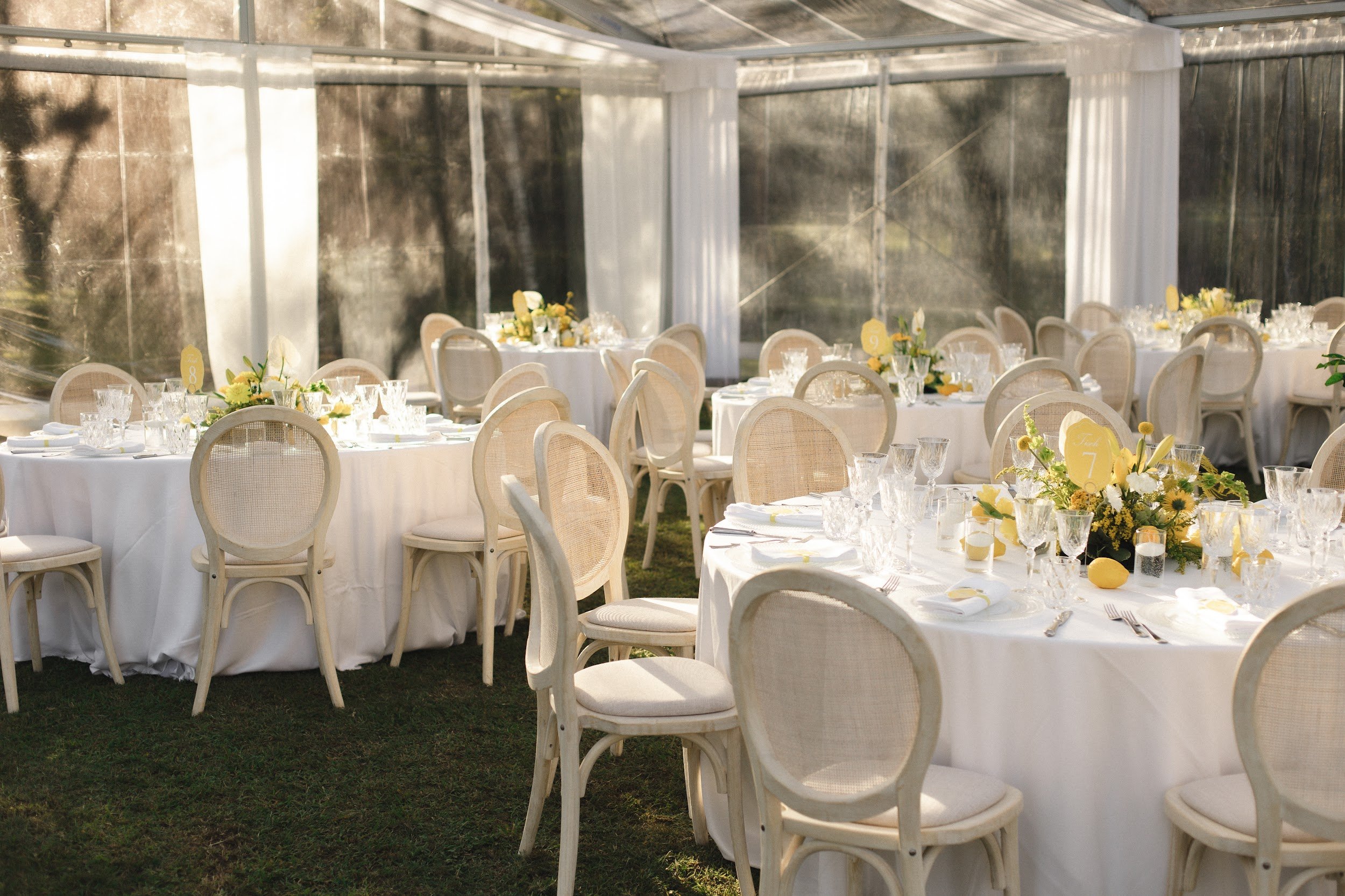 Ein festlich gedeckter Tisch in einem weißen Zelt mit weißen Stühlen, Blumendekorationen in Gelb und Weiß, Gläsern und Besteck, wahrscheinlich für eine Feier oder Veranstaltung. Die Sonne scheint durch das Zelt.