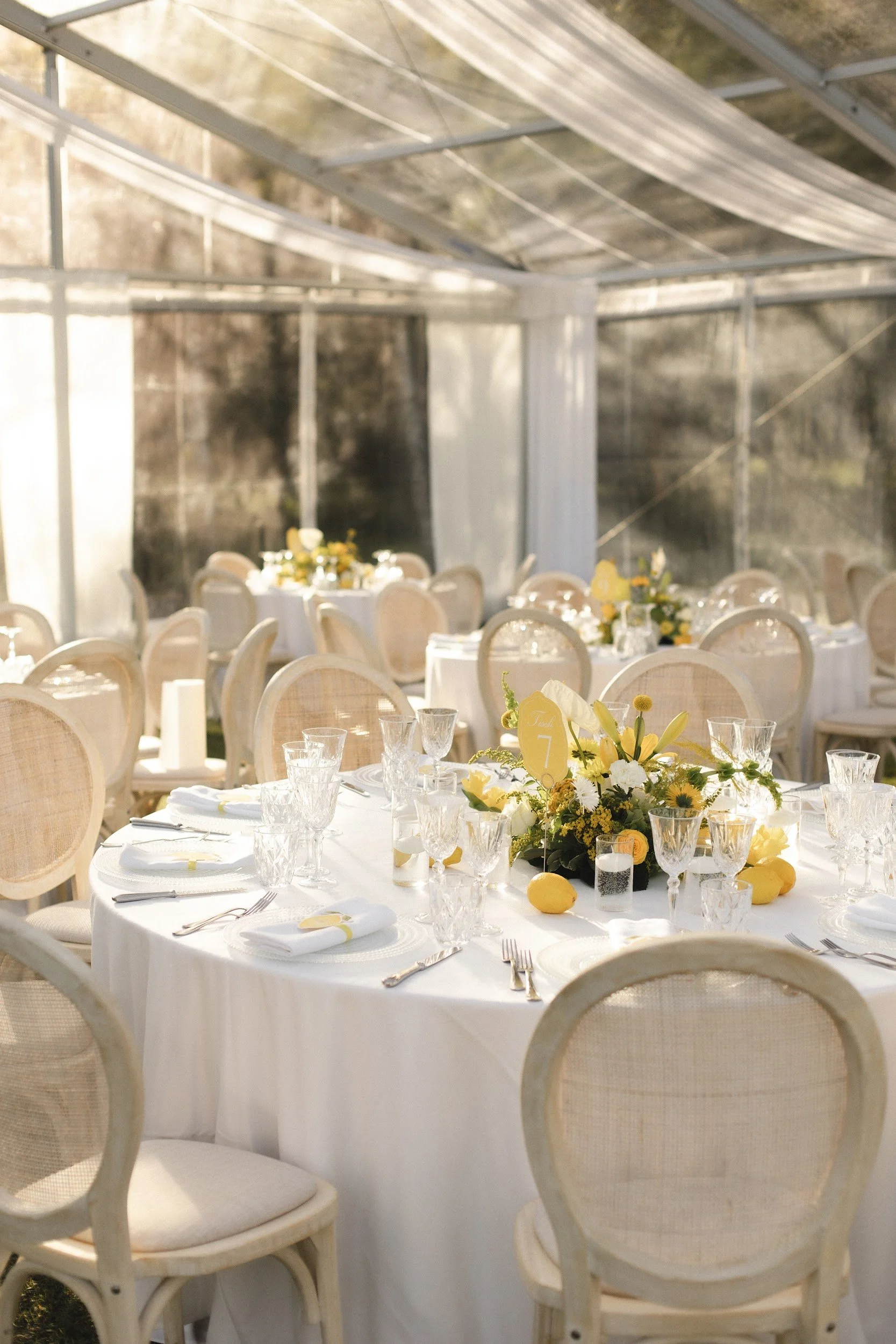 Festlich gedeckter Tisch mit weißer Tischdecke, eleganten Gläsern, weißen Tellern und goldenen Bestecken, in einer Scheune mit vielen runden Tischen und Sitzgelegenheiten, mit gelben und weißen Blumen als Dekoration, für eine Hochzeit oder Feier vorb