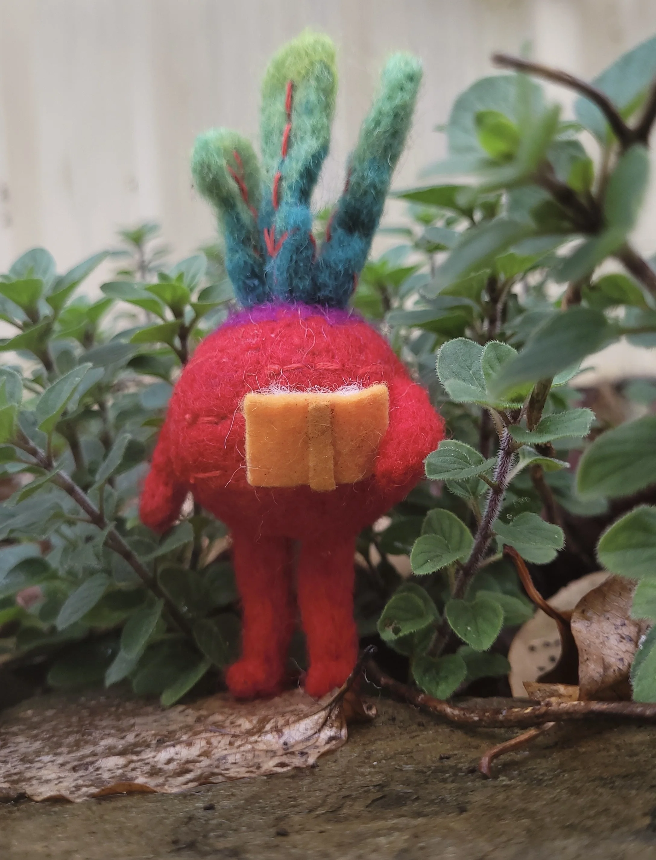 A well read beetroot!