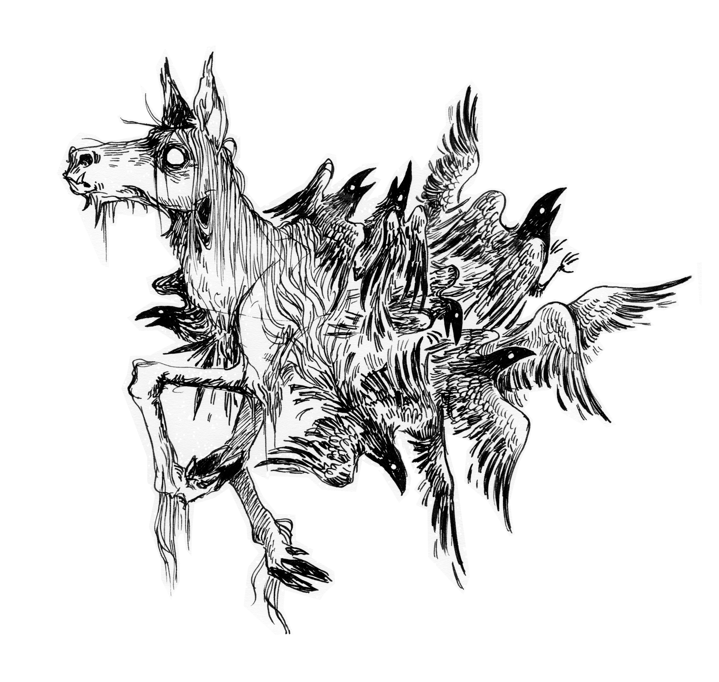 Steed png.png