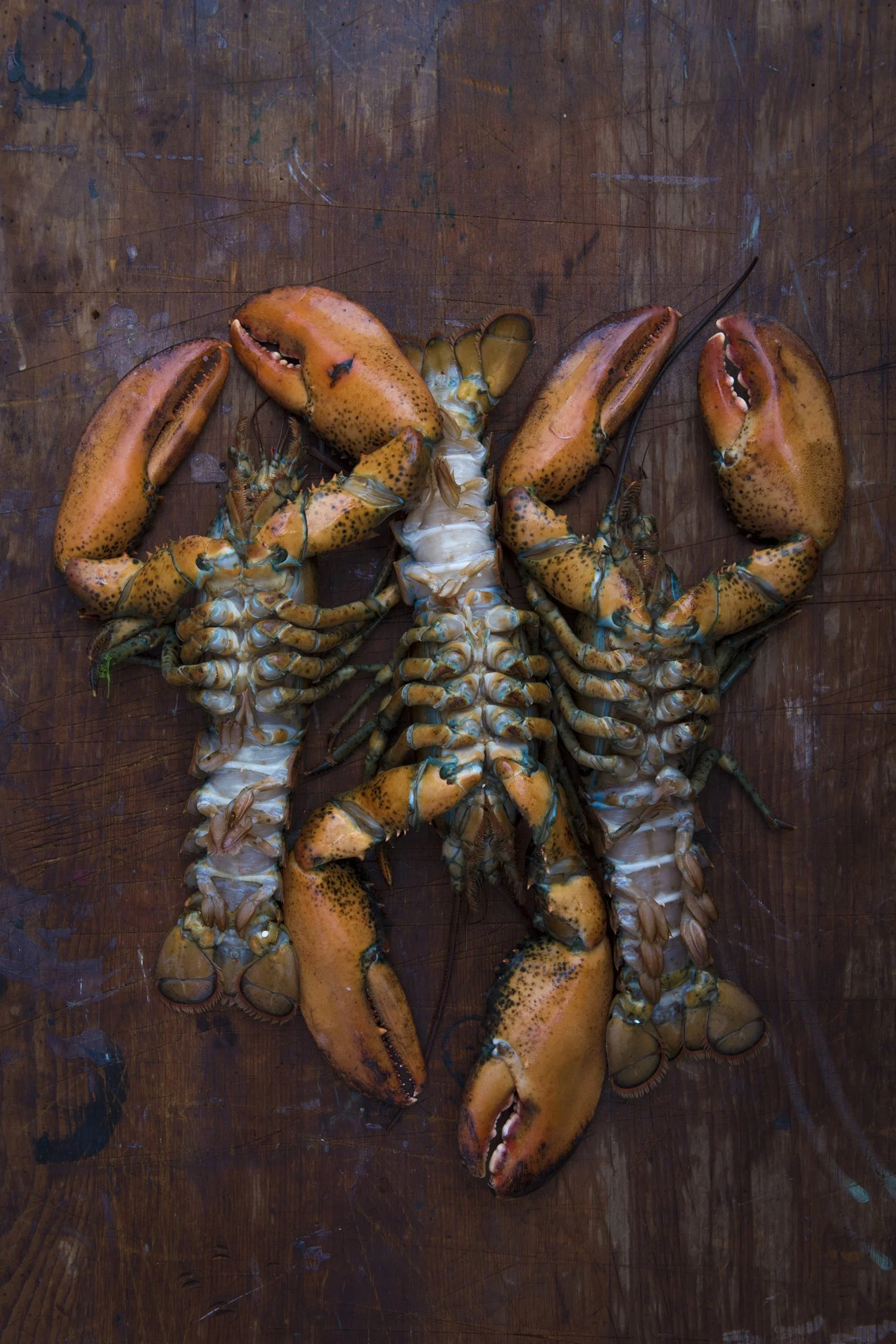 00080_tristan_newkey-burden_food_photograpahy.jpg