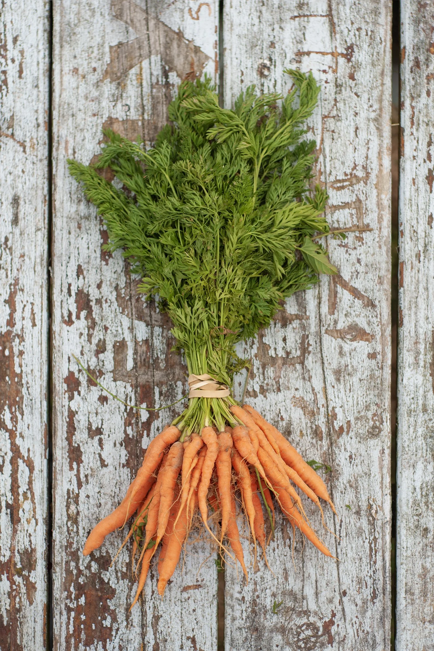 00250_tristan_newkey-burden_food_photograpahy.jpg