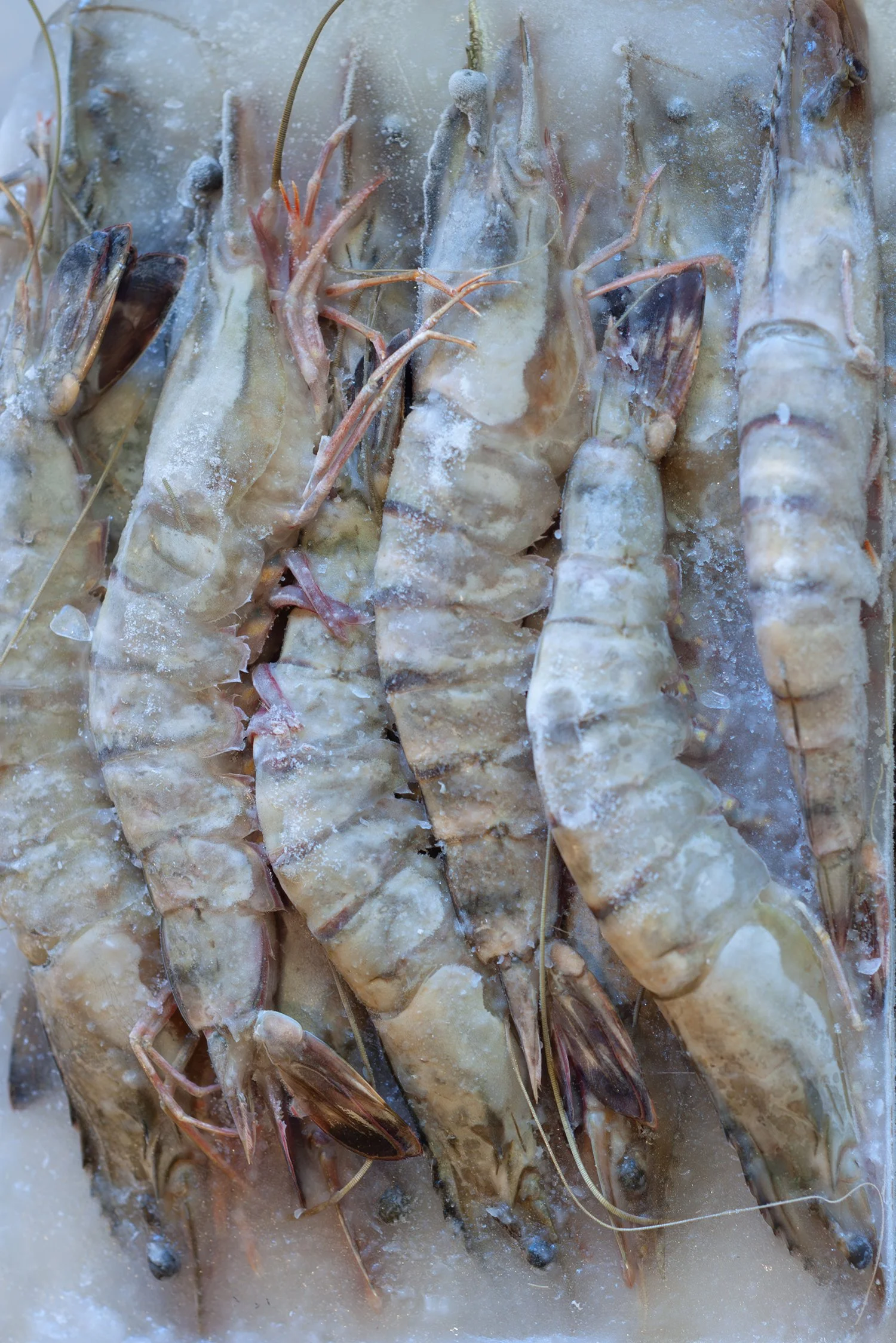 00420_tristan_newkey-burden_food_photograpahy.jpg