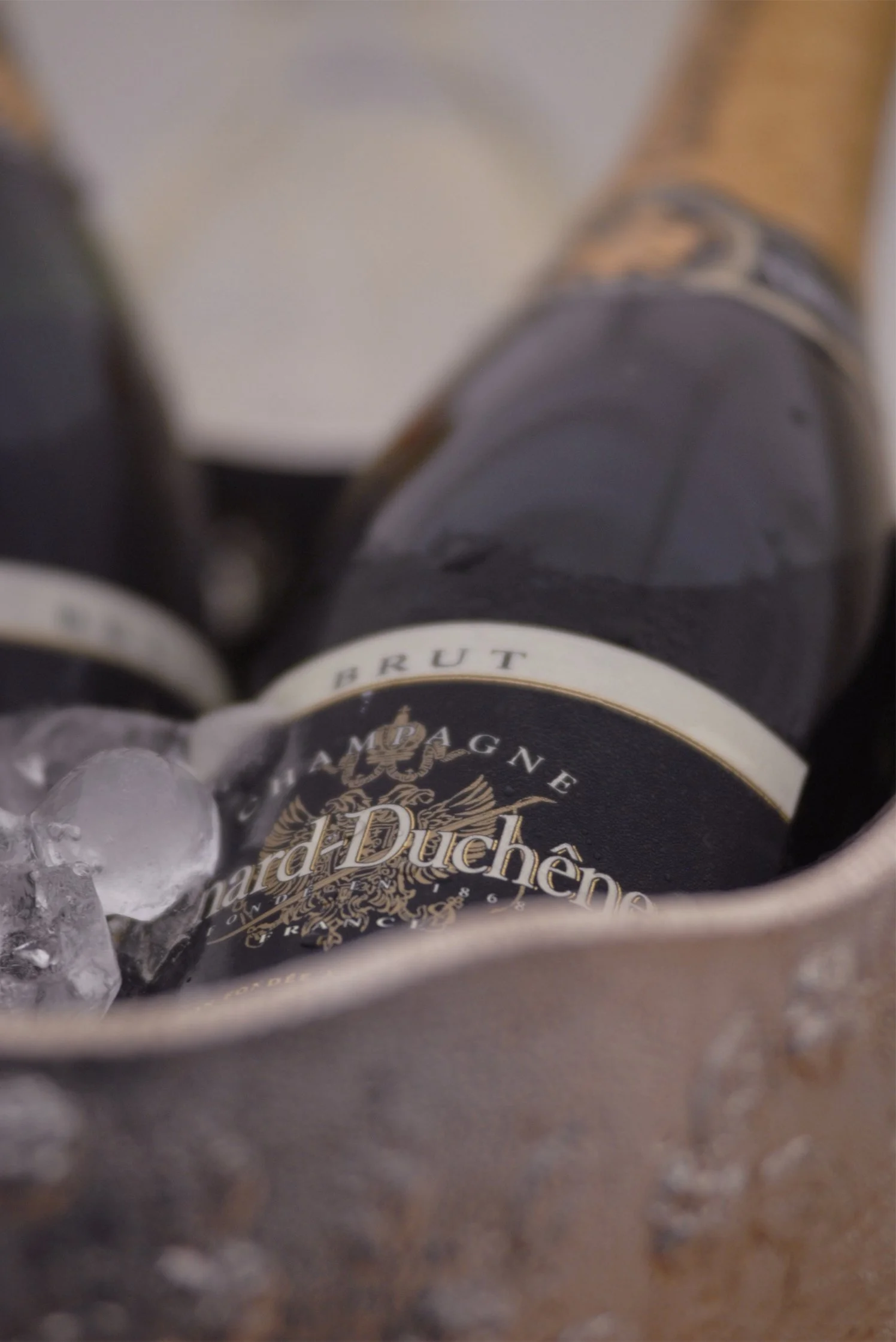 00540_tristan_newkey-burden_drink_photograpahy.jpg