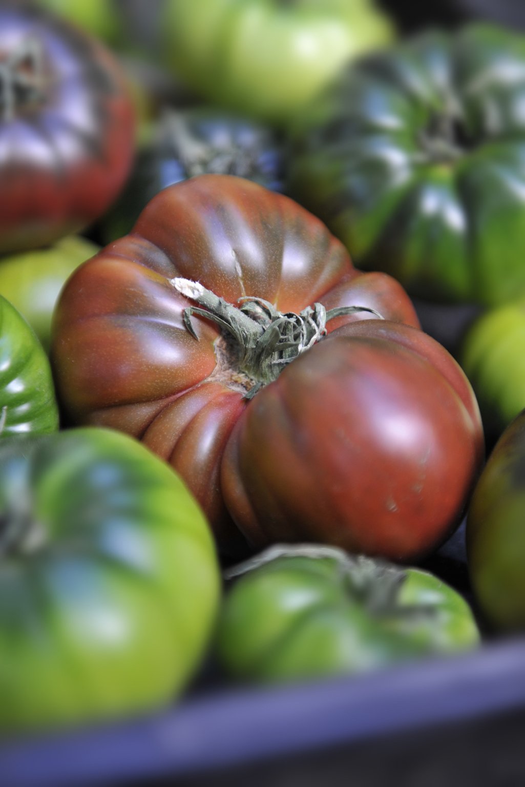 01050_tristan_newkey-burden_food_photograpahy.jpg