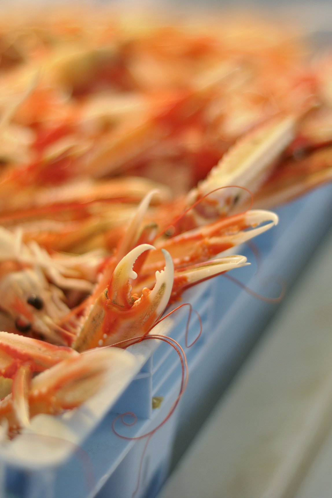 00880_tristan_newkey-burden_food_photograpahy.jpg