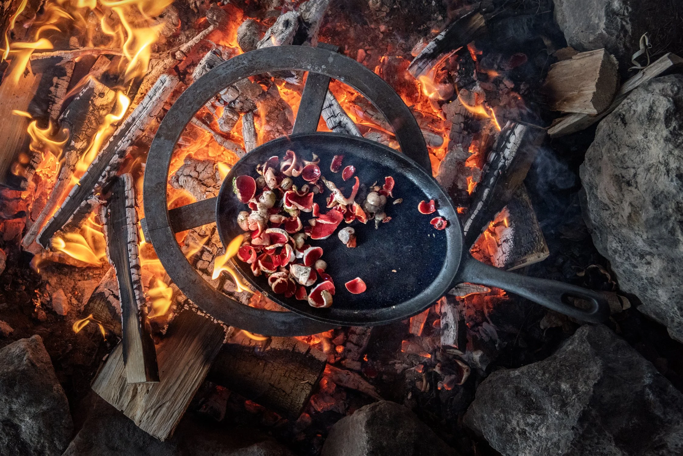 00070_tristan_newkey-burden_food_photograpahy.jpg