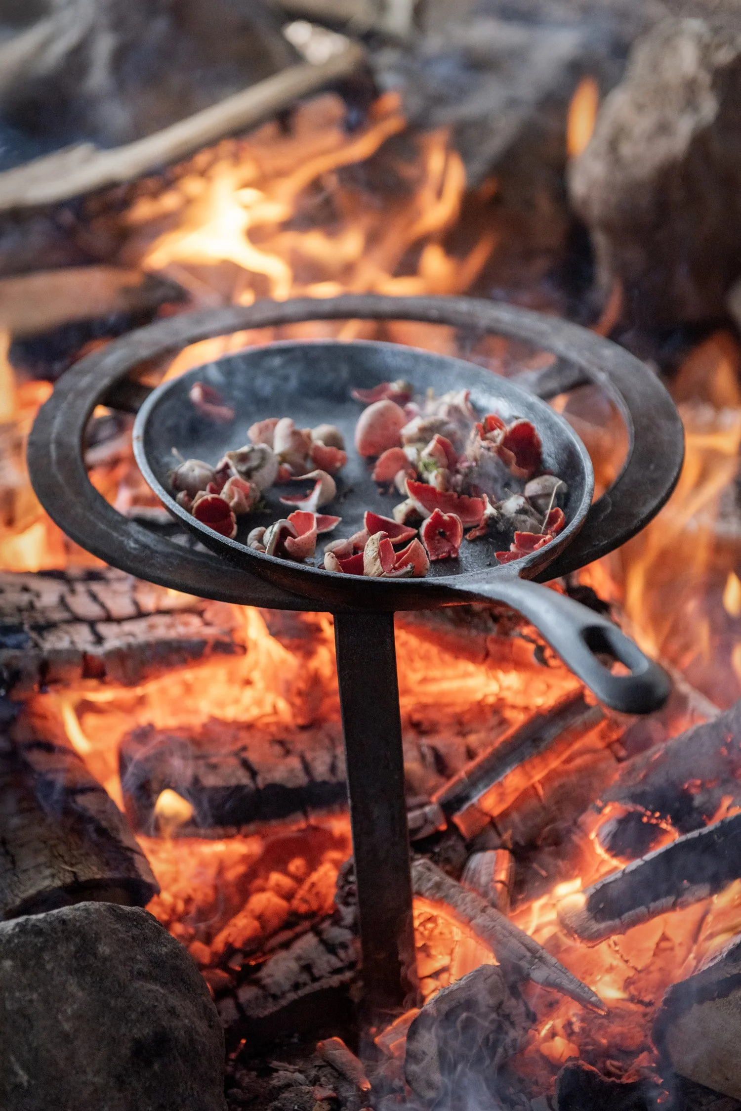00280_tristan_newkey-burden_food_photograpahy.jpg