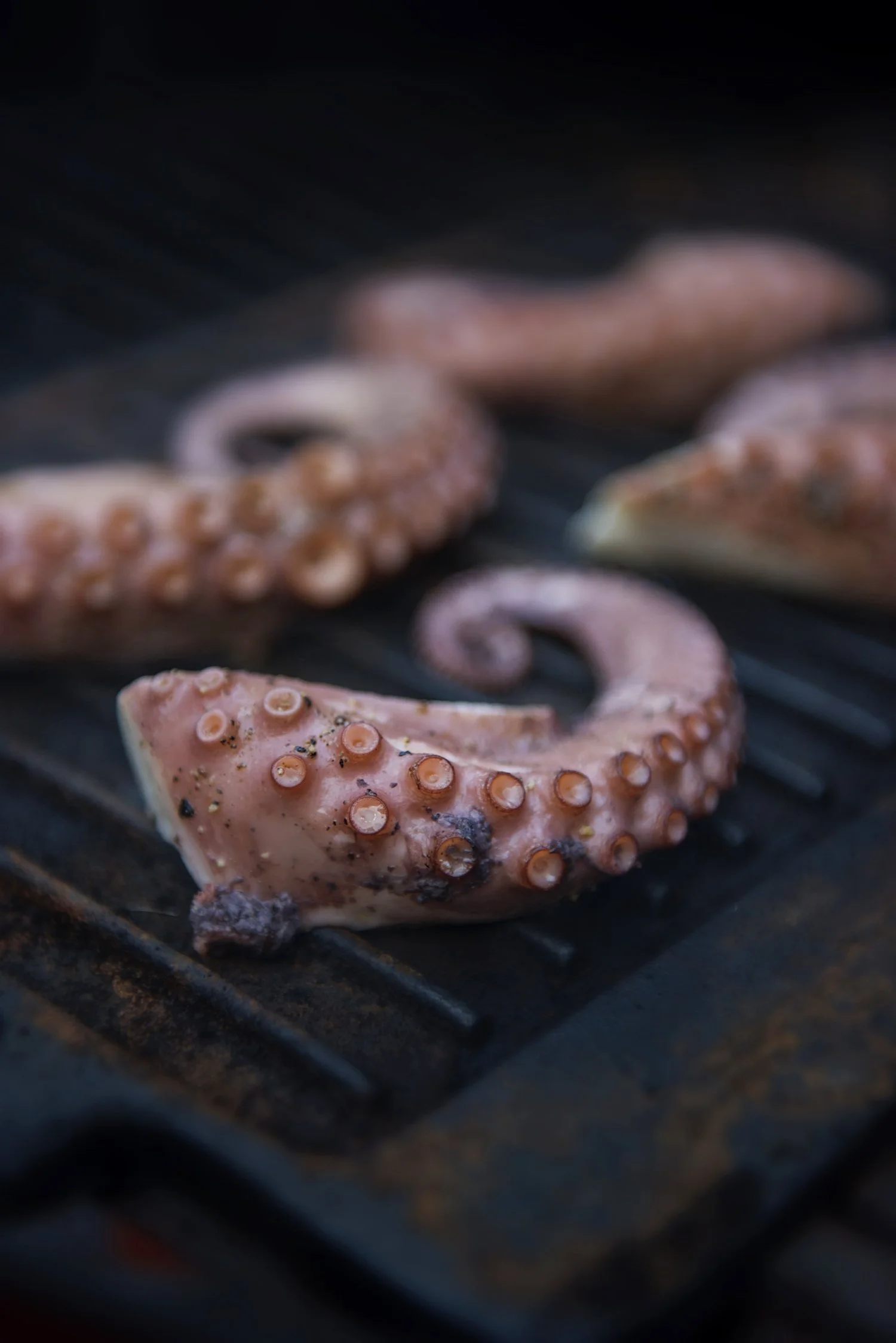 00520_tristan_newkey-burden_food_photograpahy.jpg