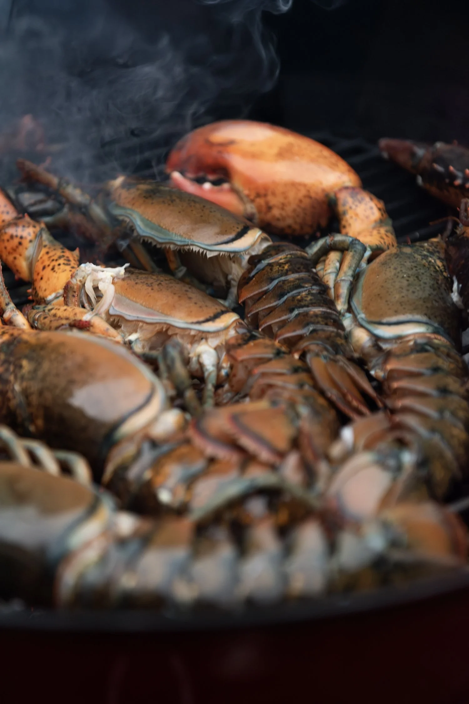 00790_tristan_newkey-burden_food_photograpahy.jpg