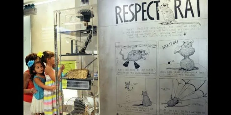 NL6_nature_lab .jpeg