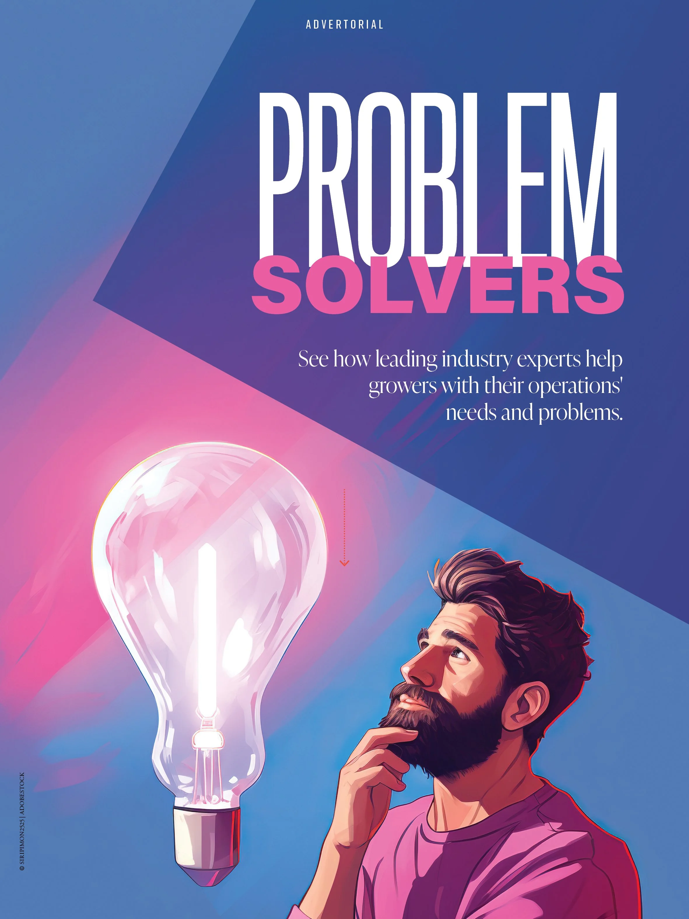 Problem Solvers Cover.jpg