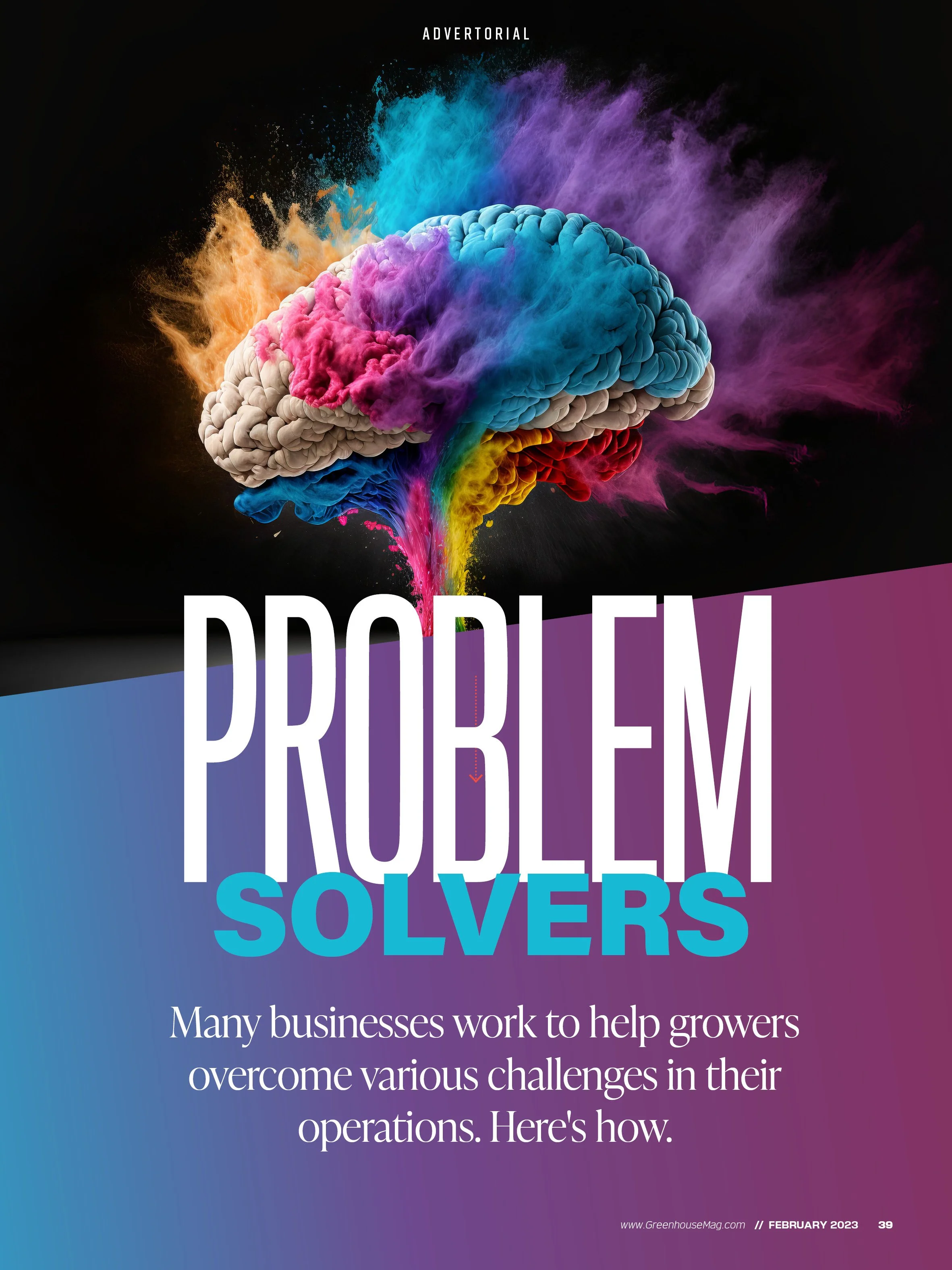 Problem Solvers Cover.jpg